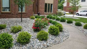 Drought Tolerant Landscaping Or Xeriscaping WB Landscape Services