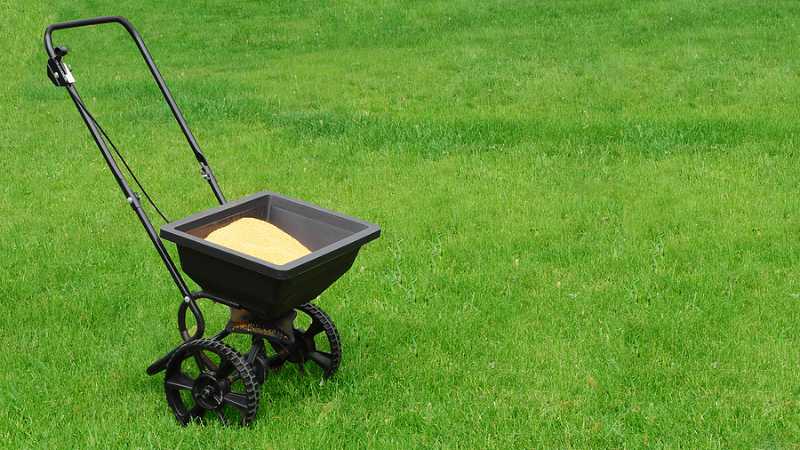 lawn fertilizing WB Landscape Services