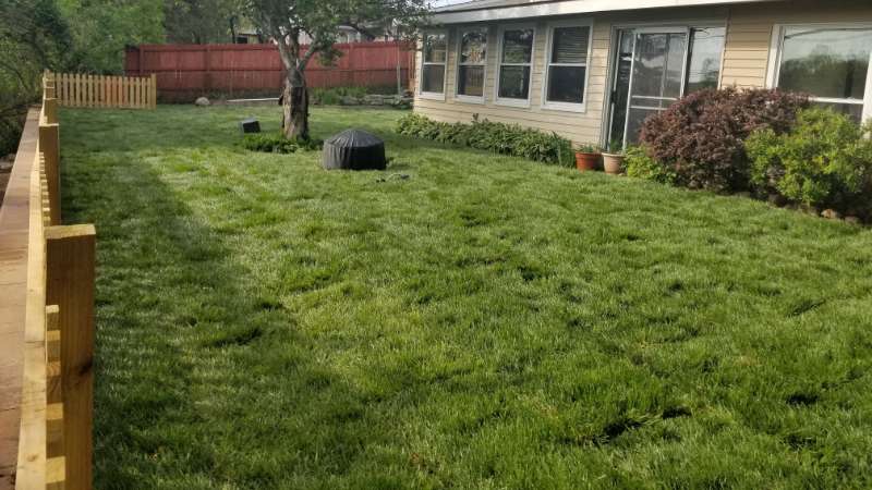 new lawn installation WB Landscape Services